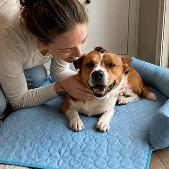 PawLax Cooling Mat user Jenny M.
